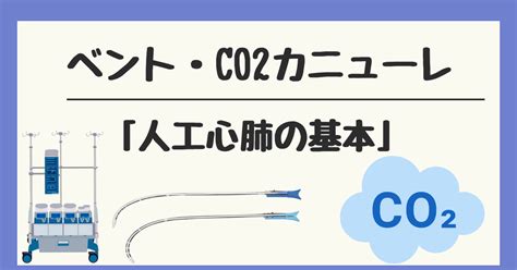 人工心肺の基本「ベント・CO2カニューレ」.